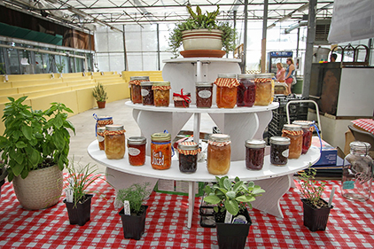 Exhibition of honey