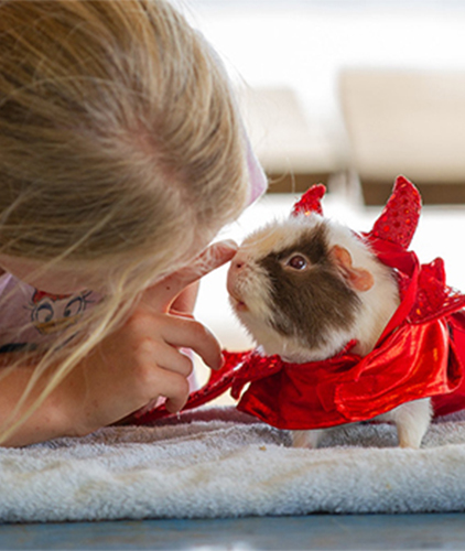 A girl strokes her caped hamster.