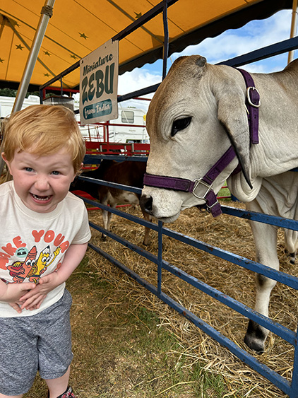 Child enjoying the Commerford Petting Zoo
